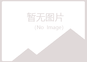 临沂兰山岑迷司法有限公司